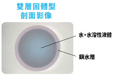 断面画像