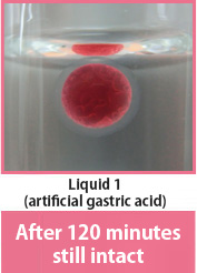 Liquid 1 (artificial gastric acid)