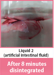 Liquid 2 (artificial intestinal fluid)